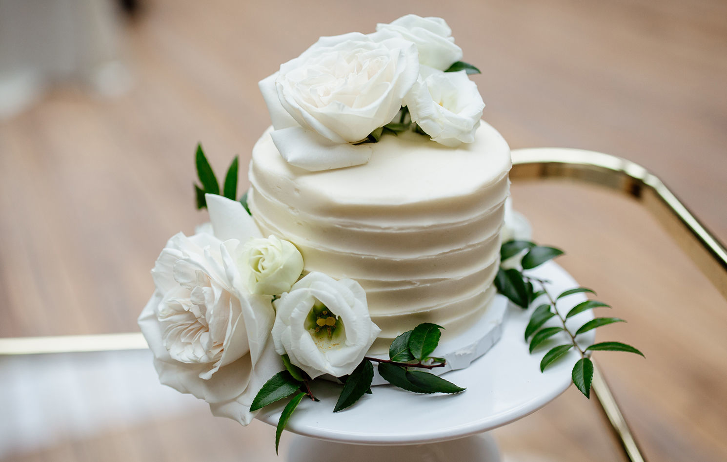 Buffalo-Magazine-Moonshine-Studio-of-Photography-Melissa-and-Paul-Cake